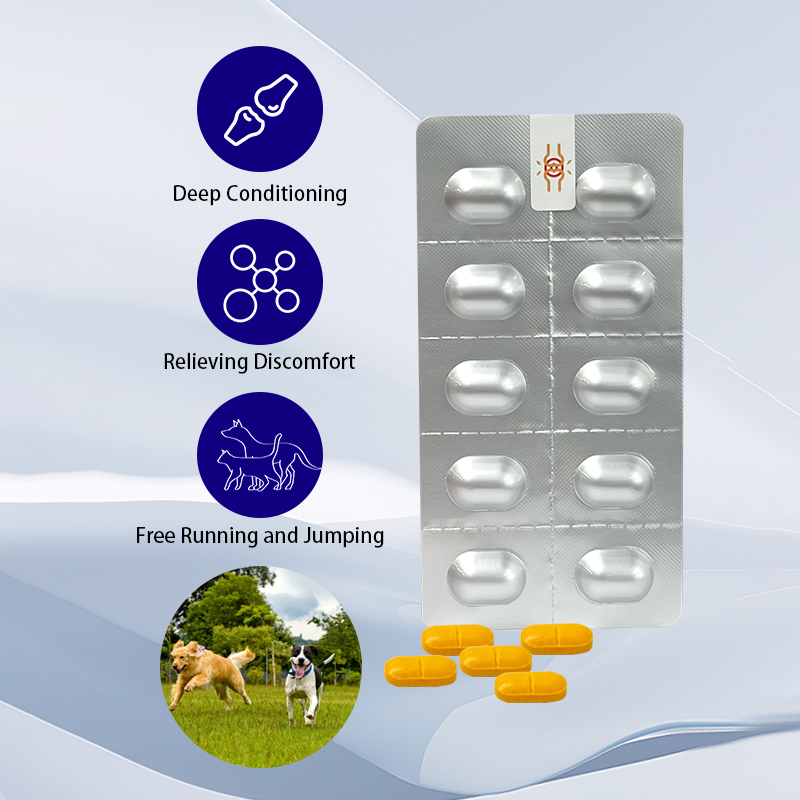 Natural Pet Joint Supplement Supplier Arthritis Relief for Dogs