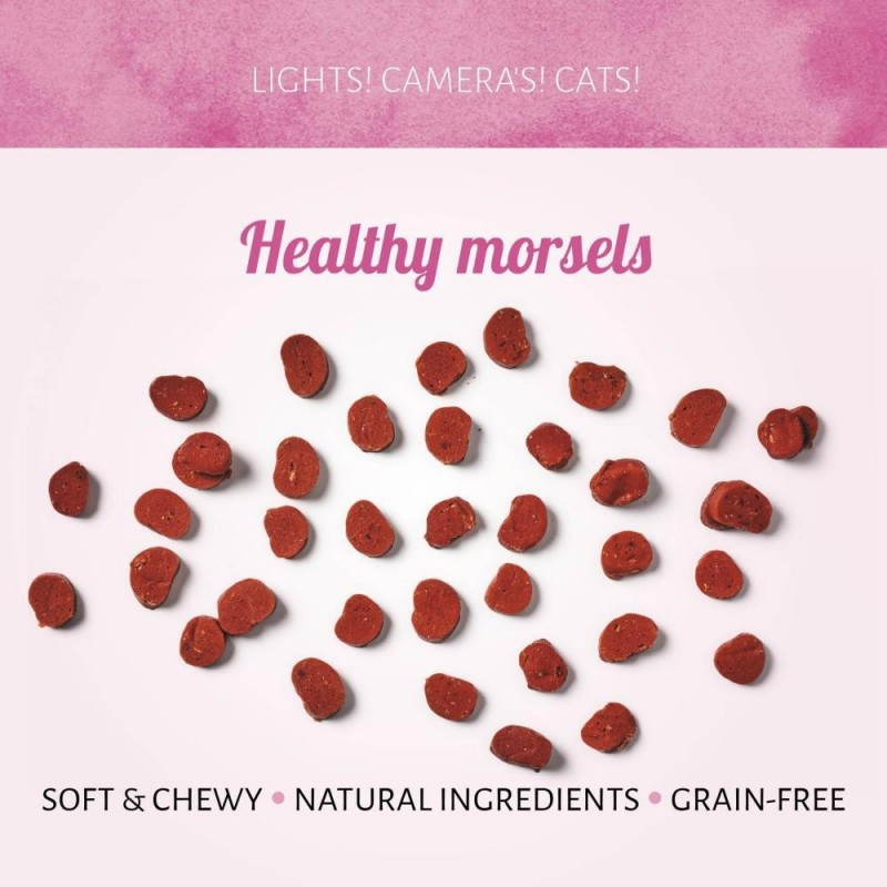 All Natural Spiced Lamb Flavor 1.8oz (50g) Soft Cat Treats