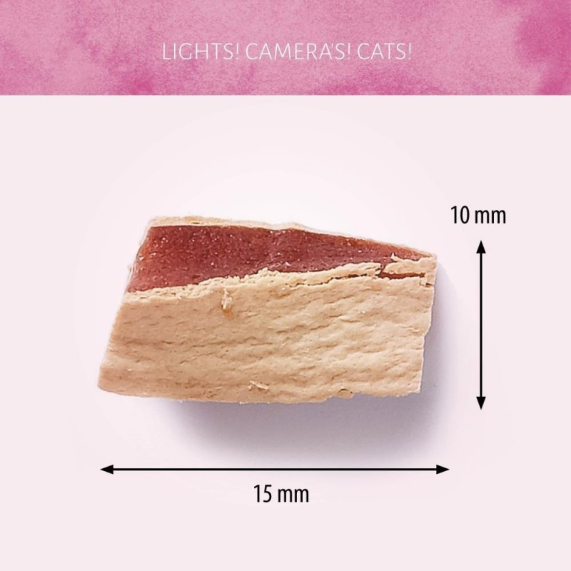 All Natural Chicken &amp; Cod Flavor 3.5oz (100g) Soft Cat Treats