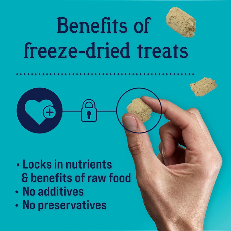 Anxiety Relief Zen Beef &amp; Pumpkin Freeze Dried 8oz (226g) Dog Treats