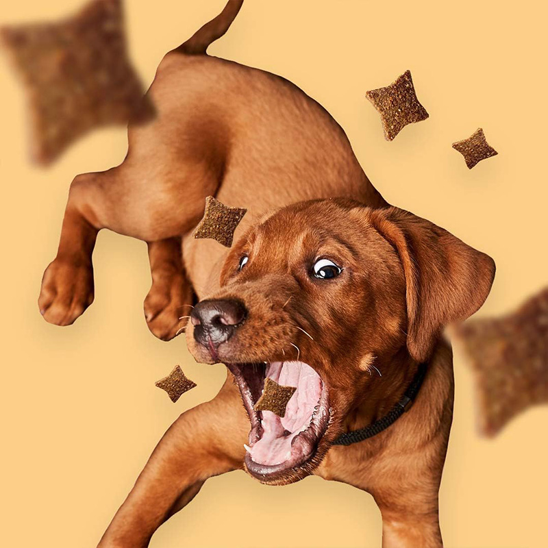 Shrimp &amp; Coconut Flavor 4.2oz (120g) Dog Treats