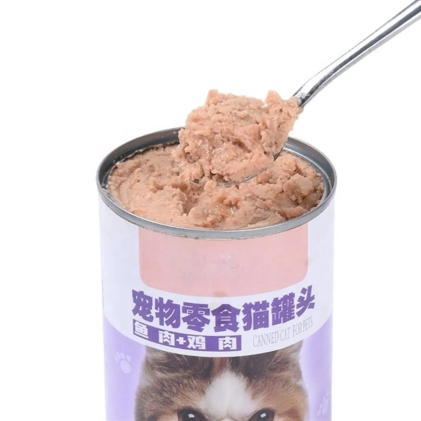 Complete Balanced Diet with Beef and Pumpkin in Jelly for Digestive Health and Regular bowl Movement Support