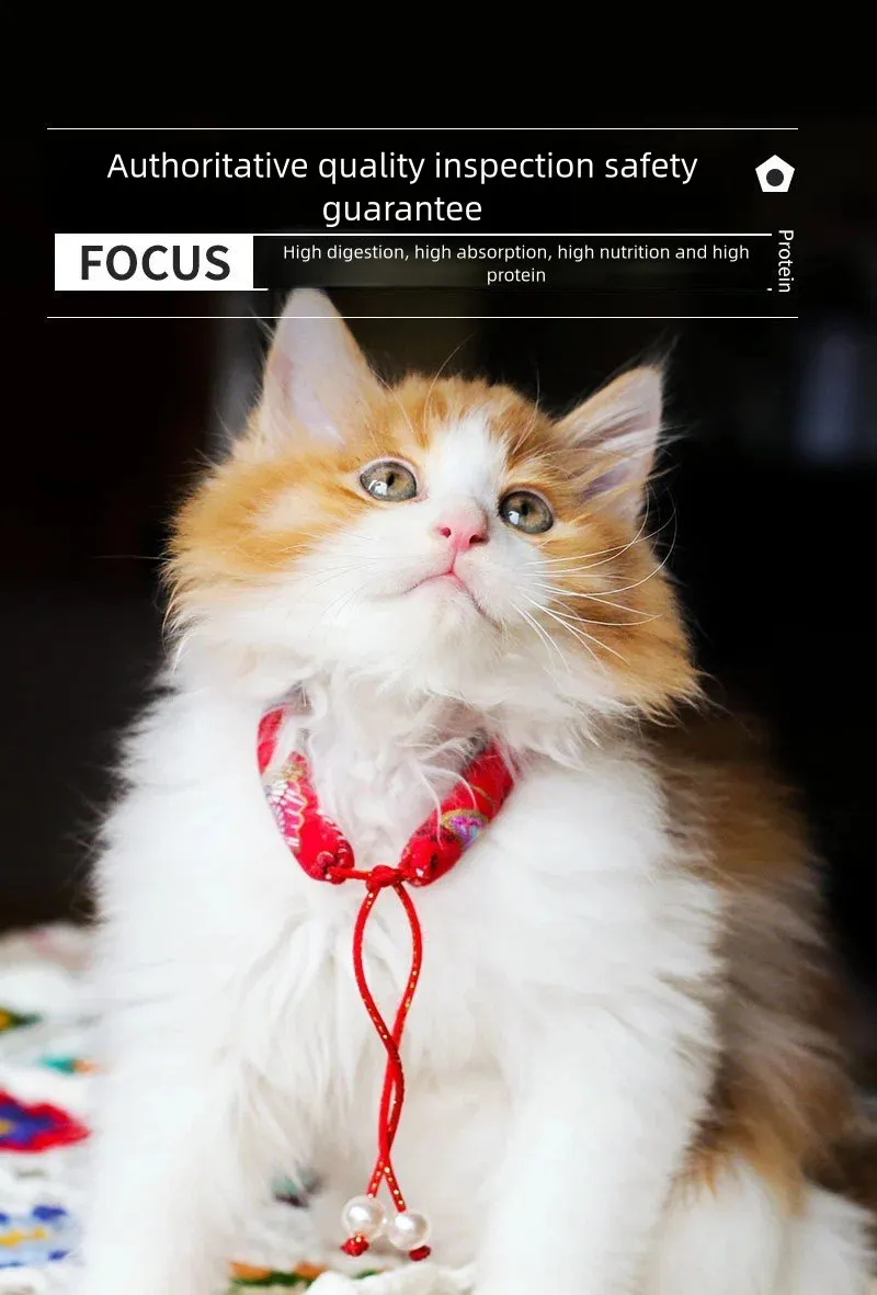 Pet Egg Yolk Photo 4