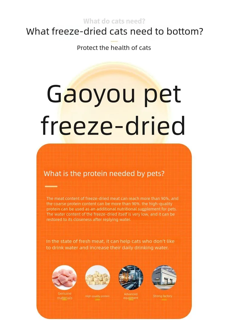 Pet Egg Yolk Photo 3