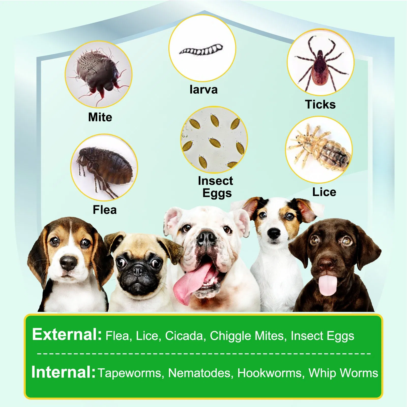 Dog Food Natural Soft Chews for Flea and Tick Prevention in Pets