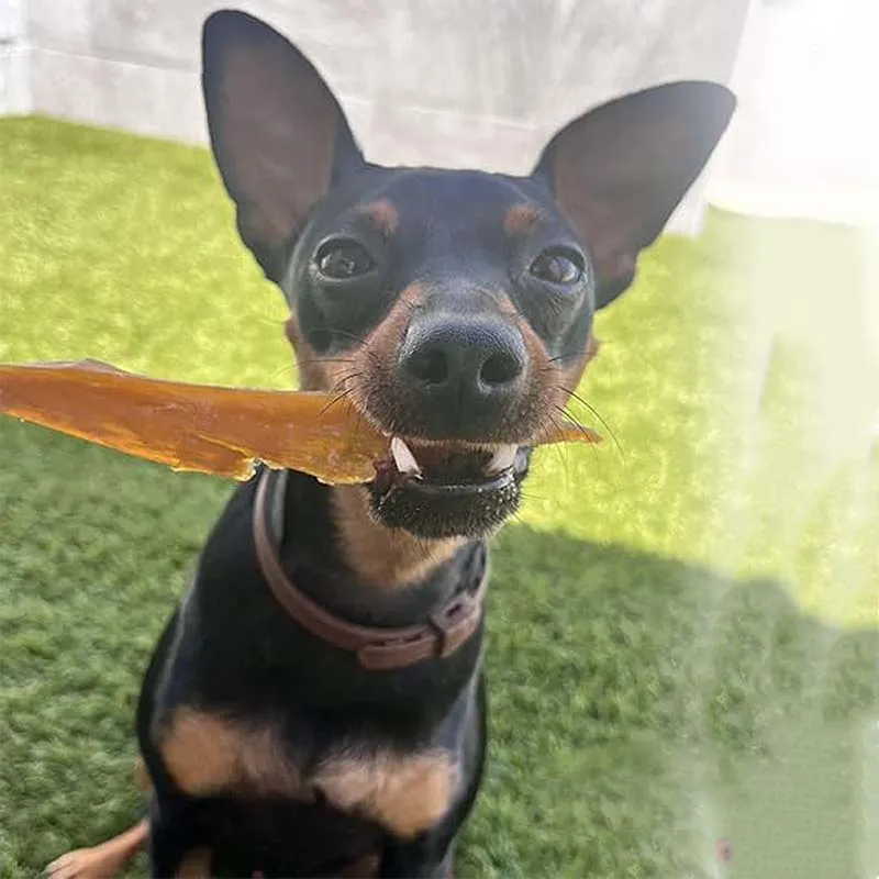 Beef Tendons Detail 3