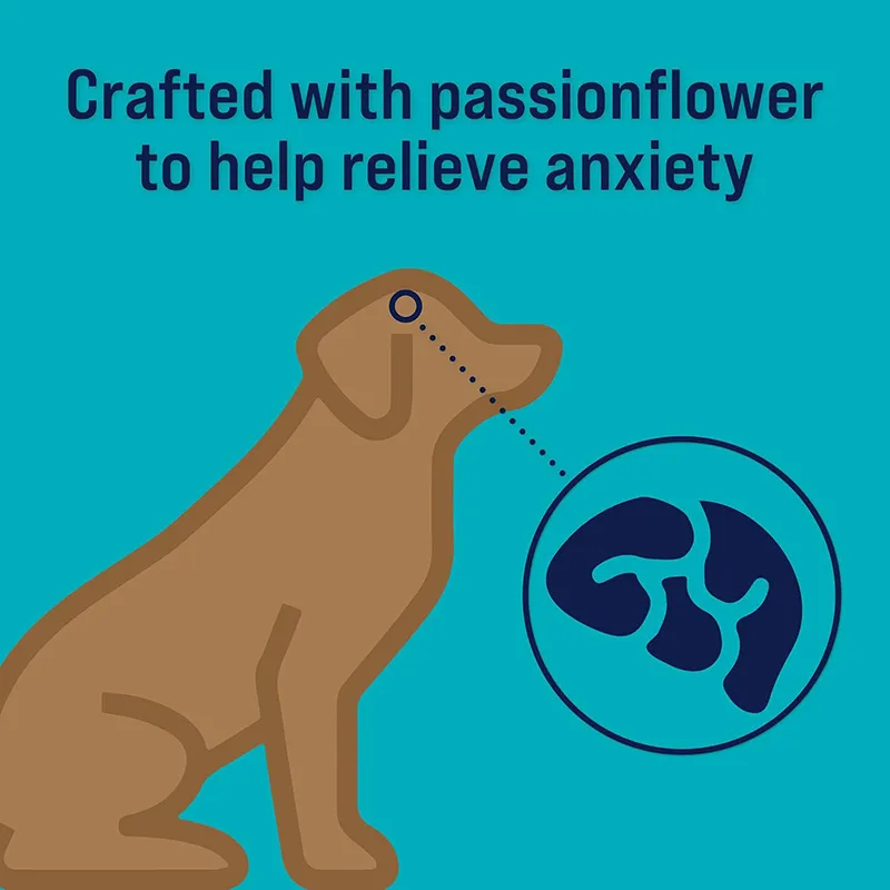 Freeze Dried Dog Treats Detail 2