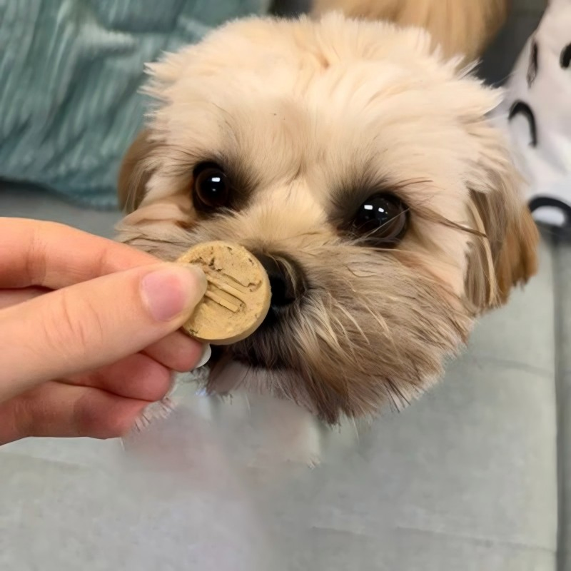 All Natural and Hypoallergenic Postbiotic Nibbles 3.5oz (100g) Dog Treats