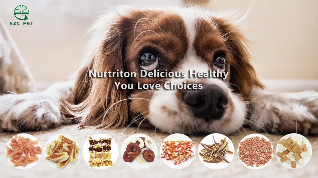 Dog Training Rewards Cookies