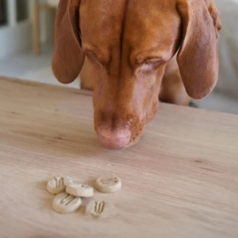 Dog Calming Treats View 4