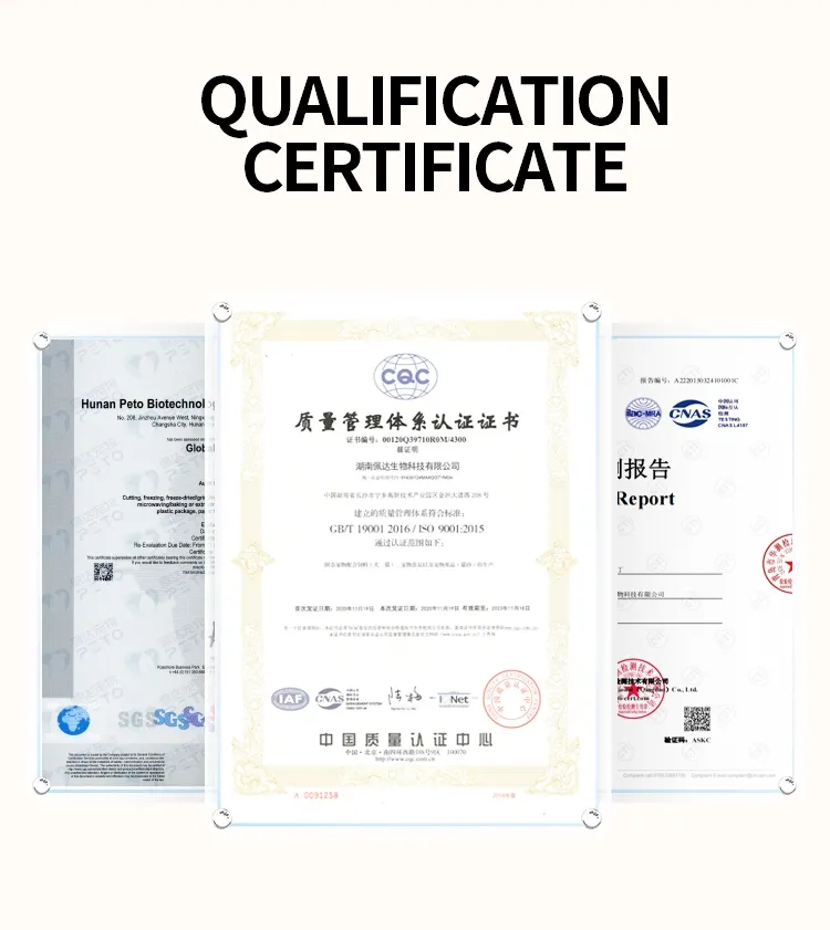 Certificate 1
