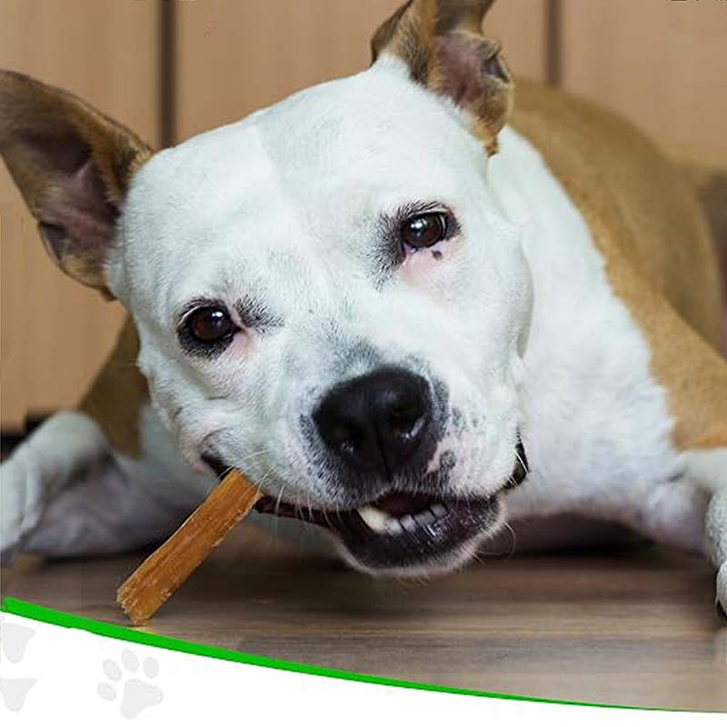 Manufacture OEM/ODM, Dried Natural Snacks - Beef Tendons 8.8oz (250g) Dog Treats