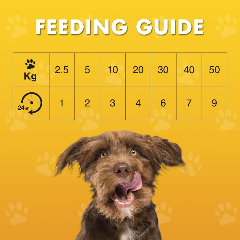 Duck Training Grain Free Tasty Bites 1.7oz (50g) Dog Treats