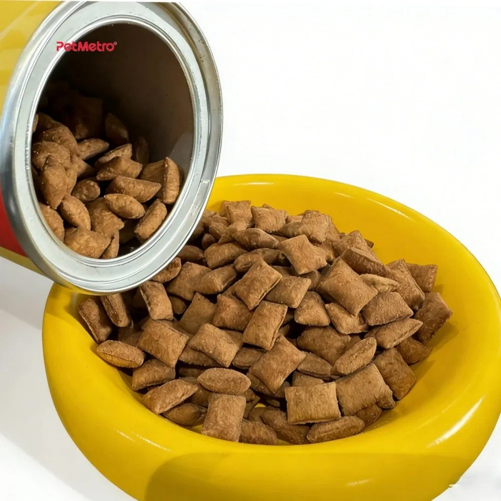 Cost Effective 200g Crispy Coated Soft Yolk Core Snack Designed for Repeated Orders Private Label Crunchy Cat Treats