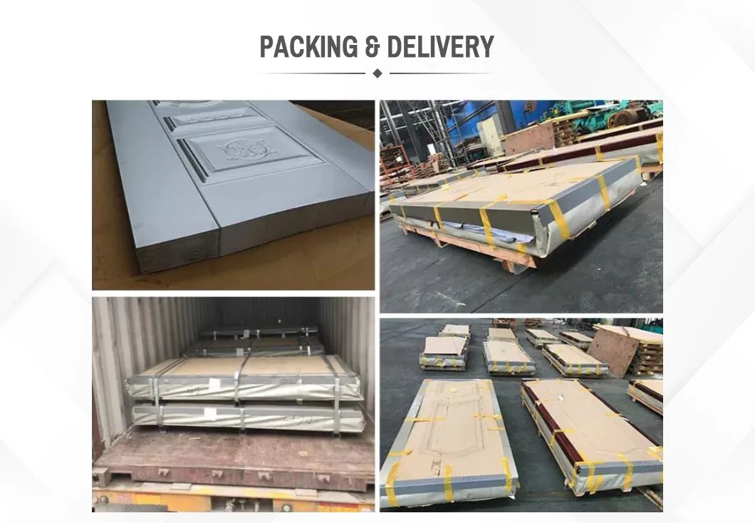 Steel Door Skin Design 2