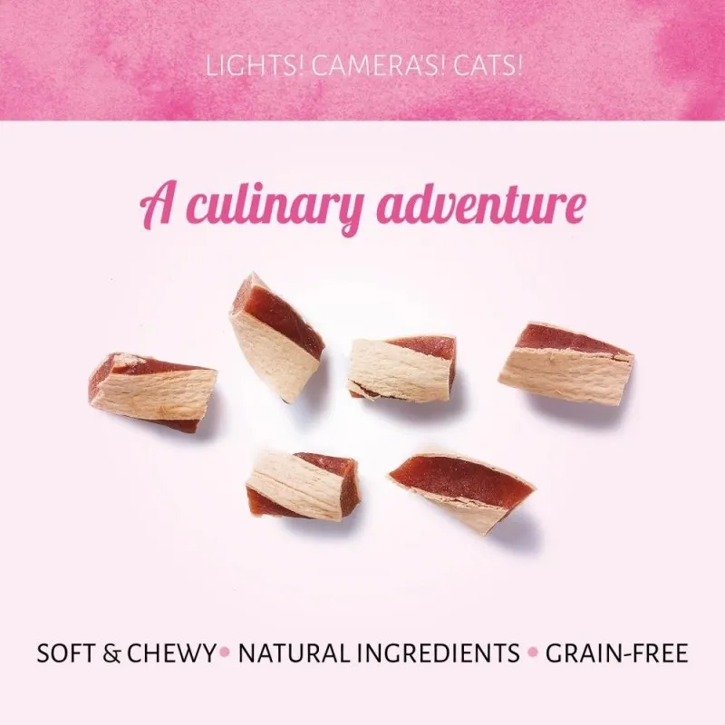 Soft Cat Treats View 1