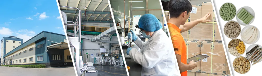 Packaging and Logistics