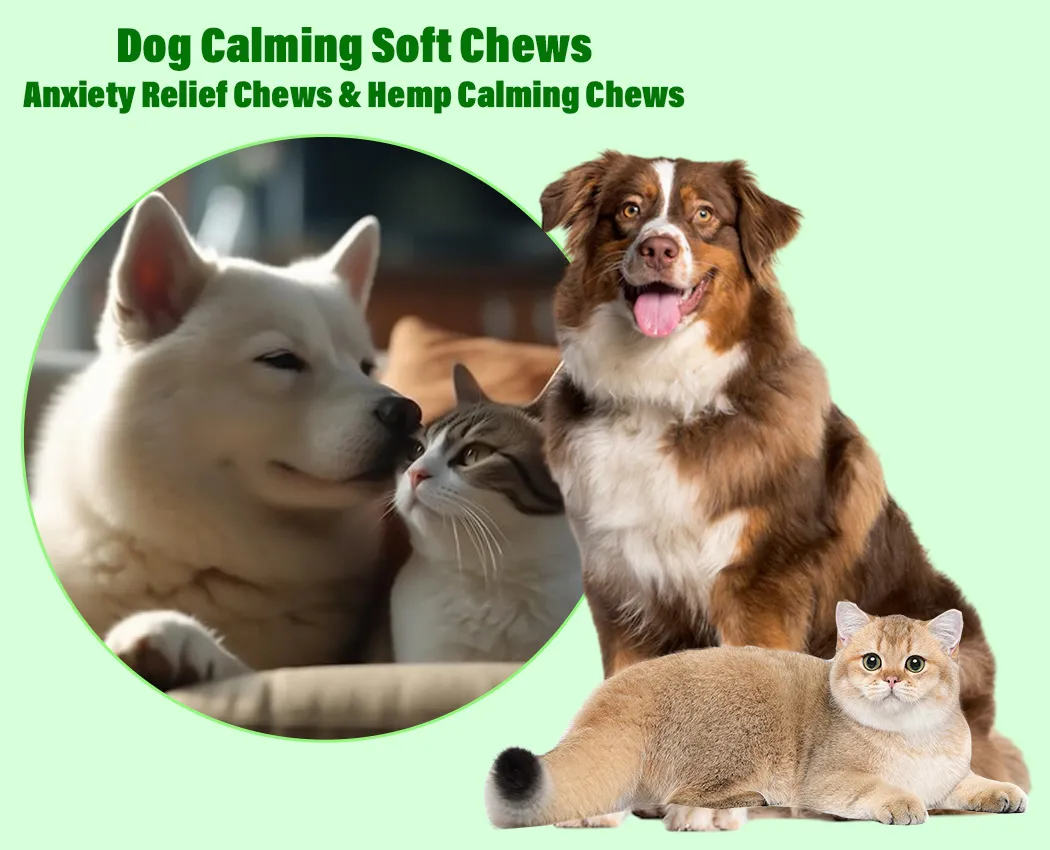 Vitamin Soft Calming Chews