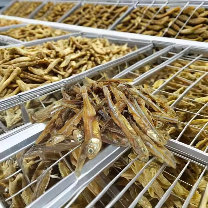 Nutritious Freeze-Dried Capelin Fish Treats for Pet Wellness