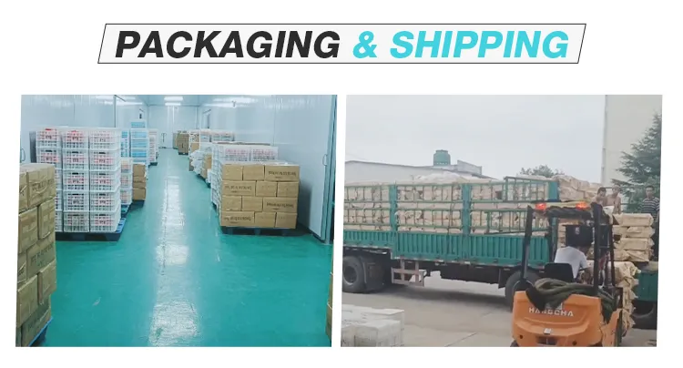 Shipping Packaging