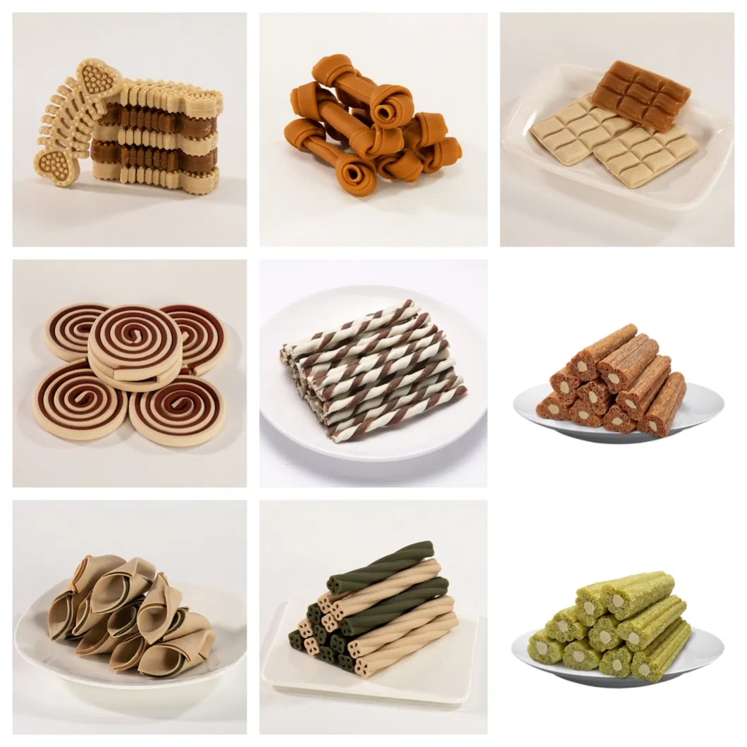 Dog Dental Care Process