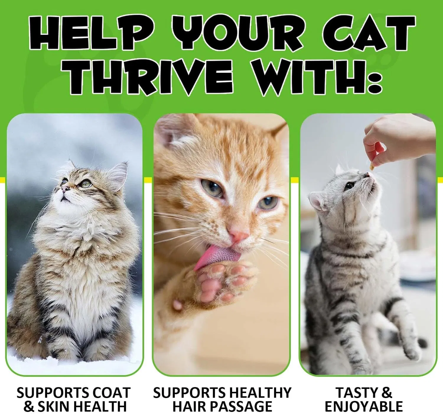 OEM Probiotic Soft Chews Treats for Dog Health Care Dog Nutriton Supplements and Vitamin with Custom Formula