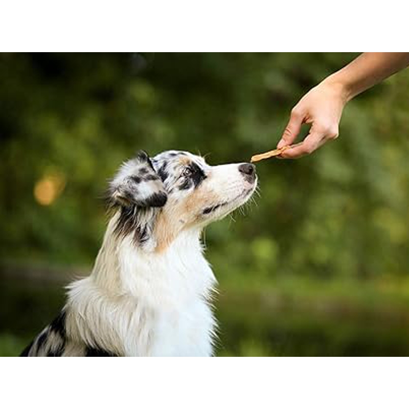 Fillets PRO Active Dog Snack with Chicken 80g Dog Treats