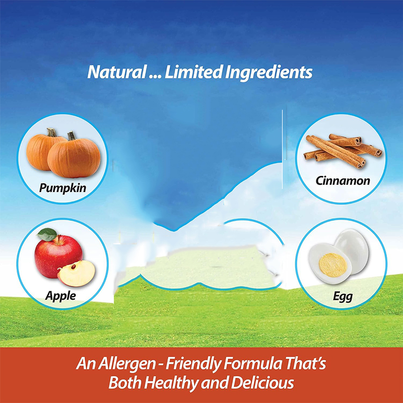 Apple Flavor Meat Free Natural Dog Treats with Pumpkin for Digestive Health 6oz (170g)