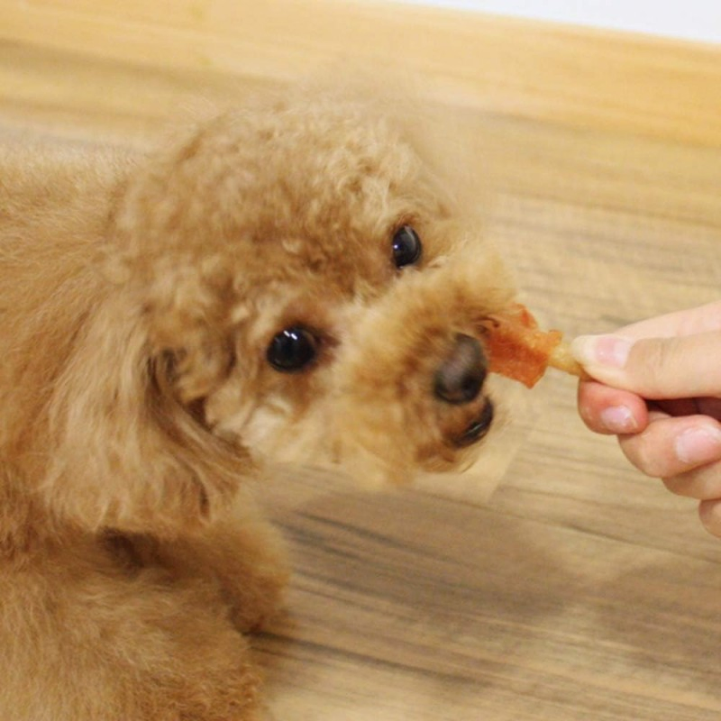 6.3oz (180g) Pouch Chicken &amp; Sweet Potato Dog Treats