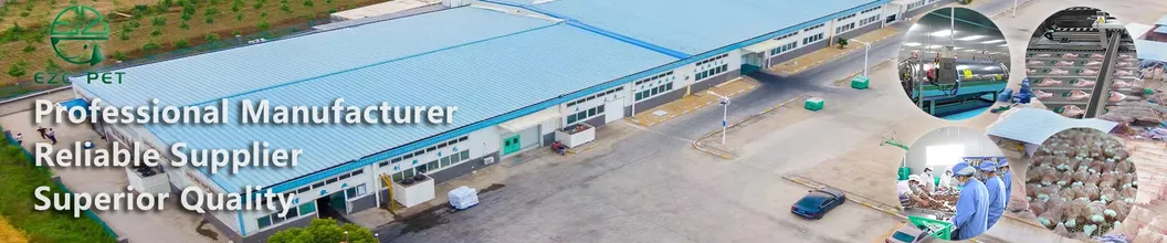 Certification Banner