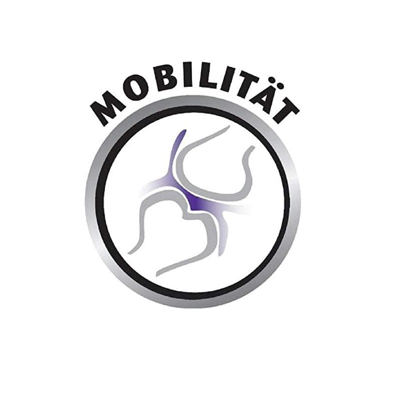 Fillets PRO Active Dog Snack with Chicken 80g Dog Treats