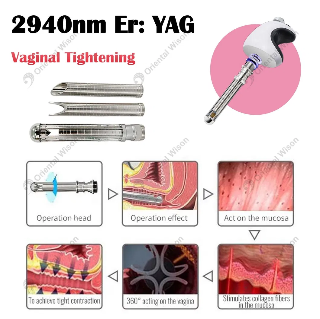 Technology Analysis 4