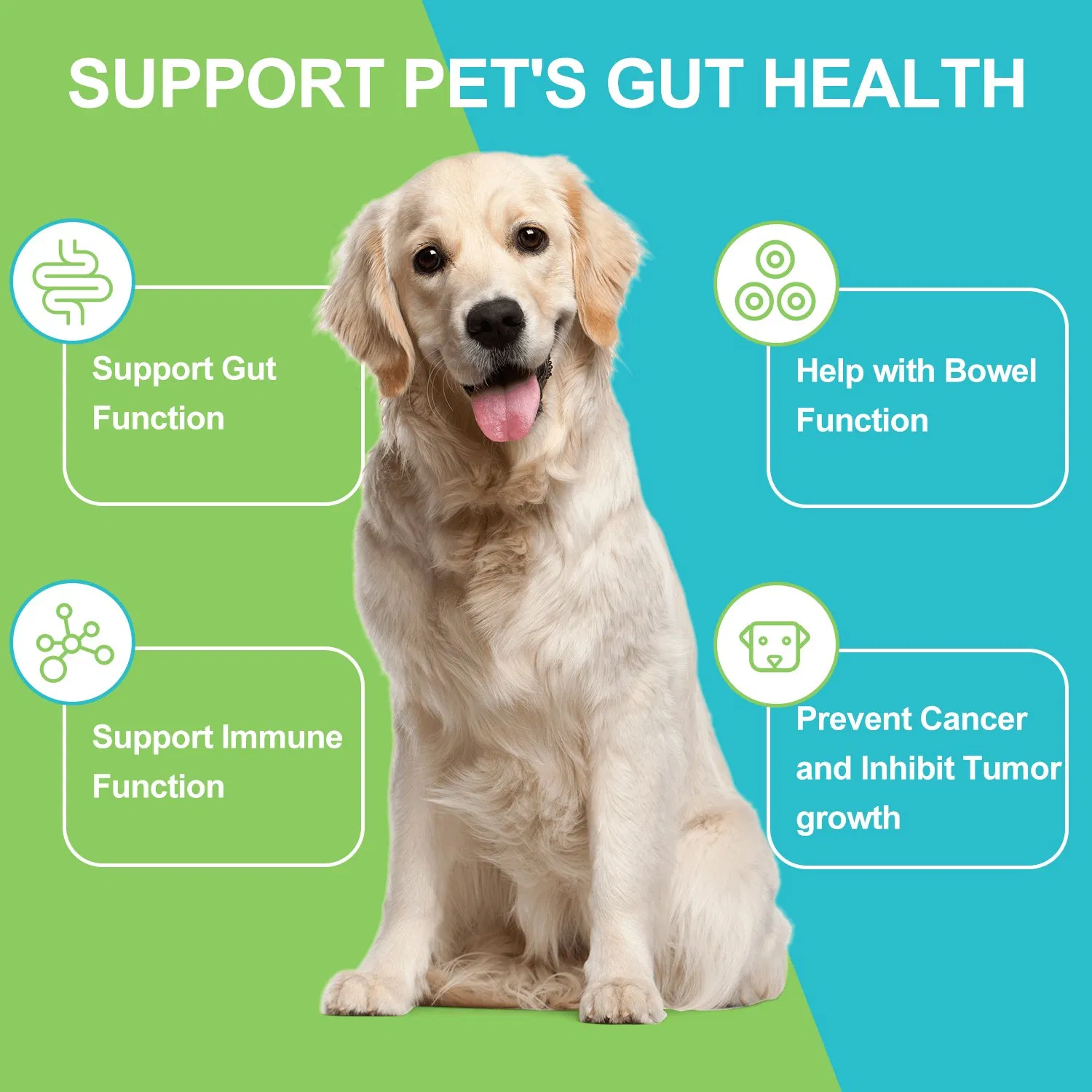 Bulk Purchase Pet Probiotic &amp; Prebiotic Soft Chews, Functional Gut Health Supplement for Dog Cat