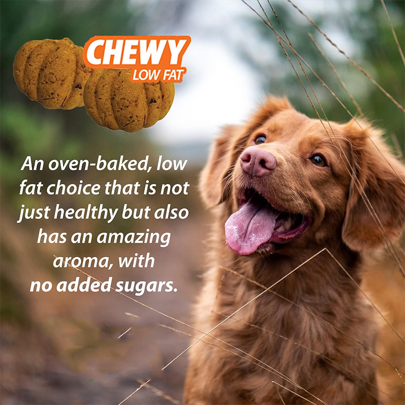 Apple Flavor Meat Free Natural Dog Treats with Pumpkin for Digestive Health 6oz (170g)