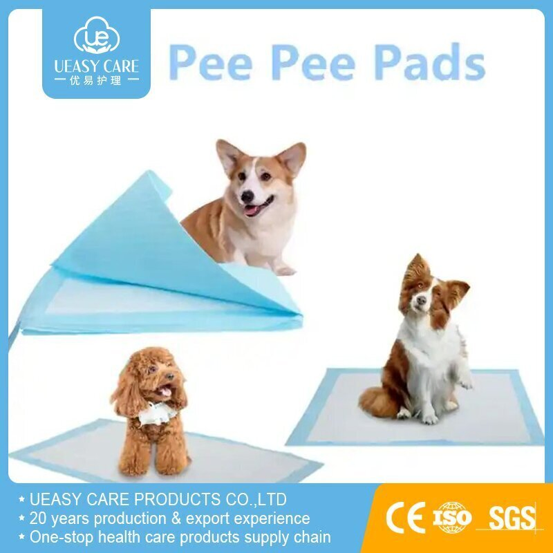 2023 Hot Sale Pet Wholesale Factory Price Puppy