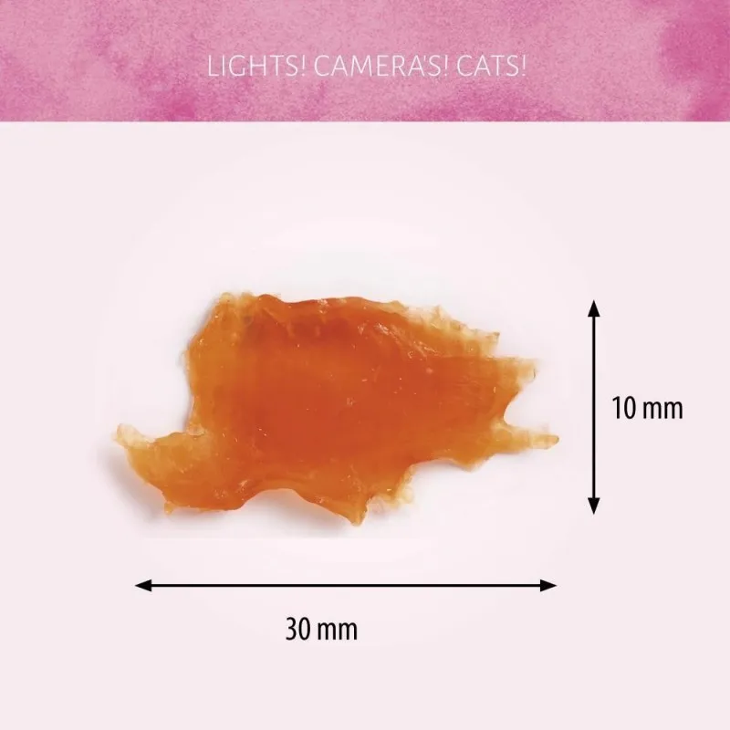 Cat Treats Display 2