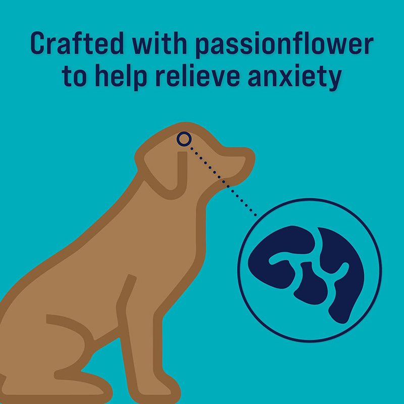 Anxiety Relief Zen Beef &amp; Pumpkin Freeze Dried 8oz (226g) Dog Treats