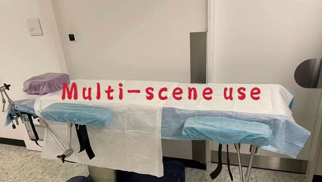 Highly Absorbent Pet Training Mats for Puppy and Dog Care