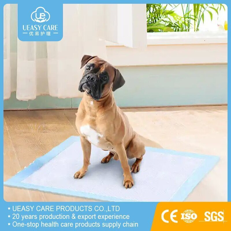 2023 Hot Sale Pet Wholesale Factory Price Puppy