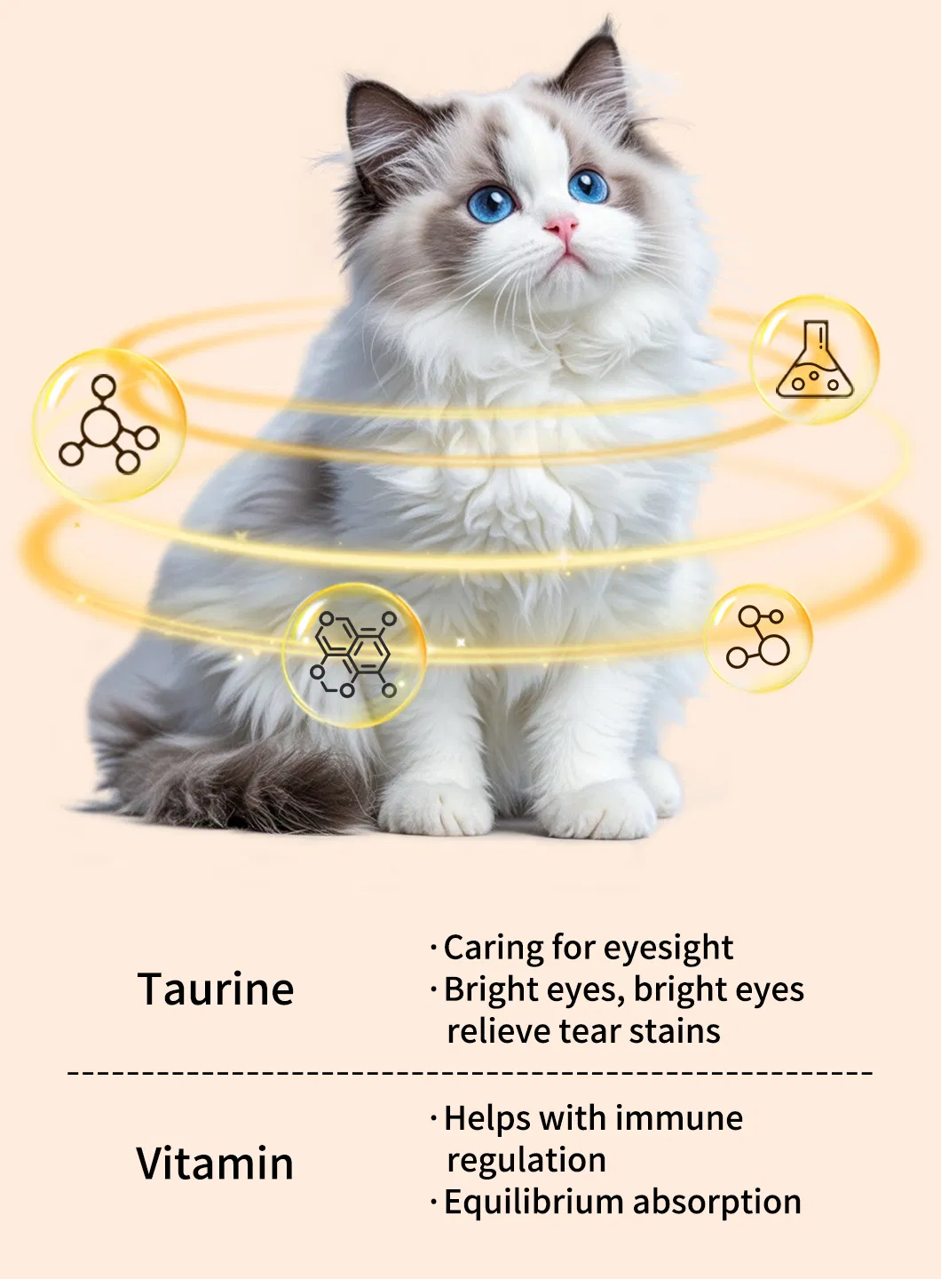 Supports Digestive Health Cat Treats Cat Wet Food Pet Pouch Food