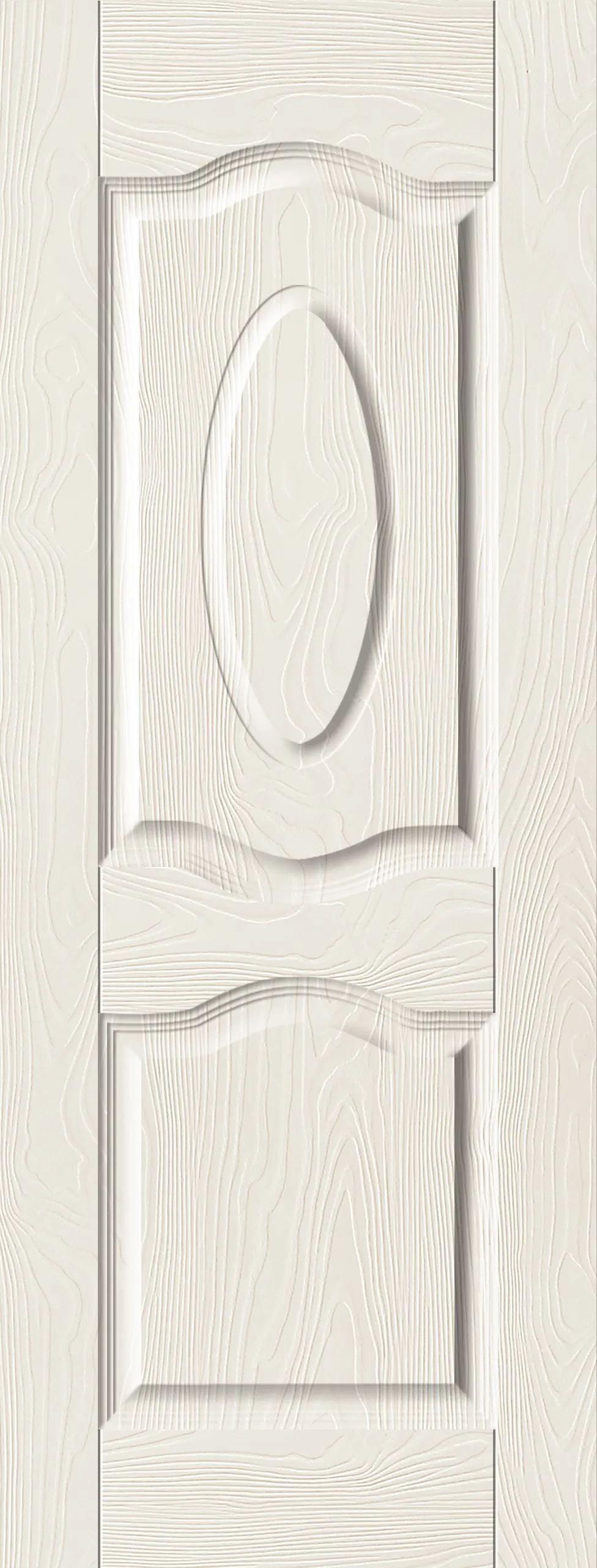 Door Skin Panel