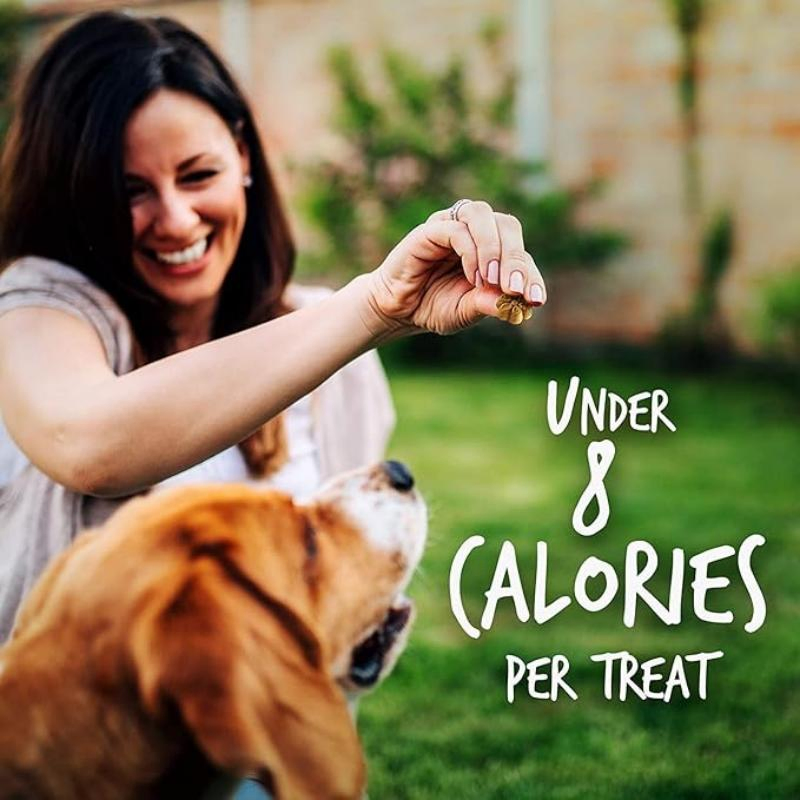 Baked Dog Treats, Healthy Pumpkin Treat for Dogs 12oz (340g) Dog Treats