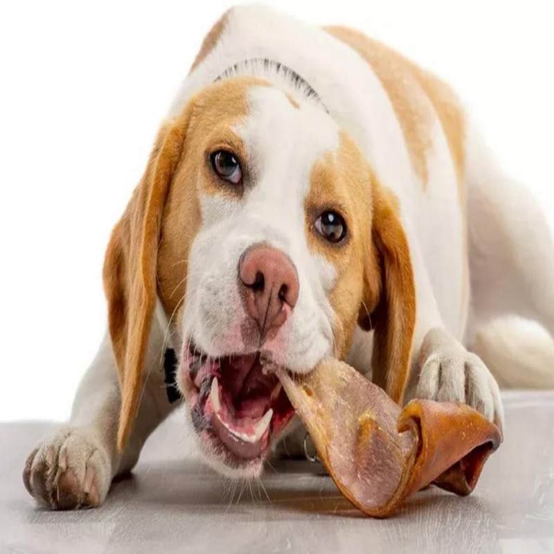 Manufacture OEM/ODM, Natural Dried Snacks - Pig Ears 31.7oz (900g) Dog Treats