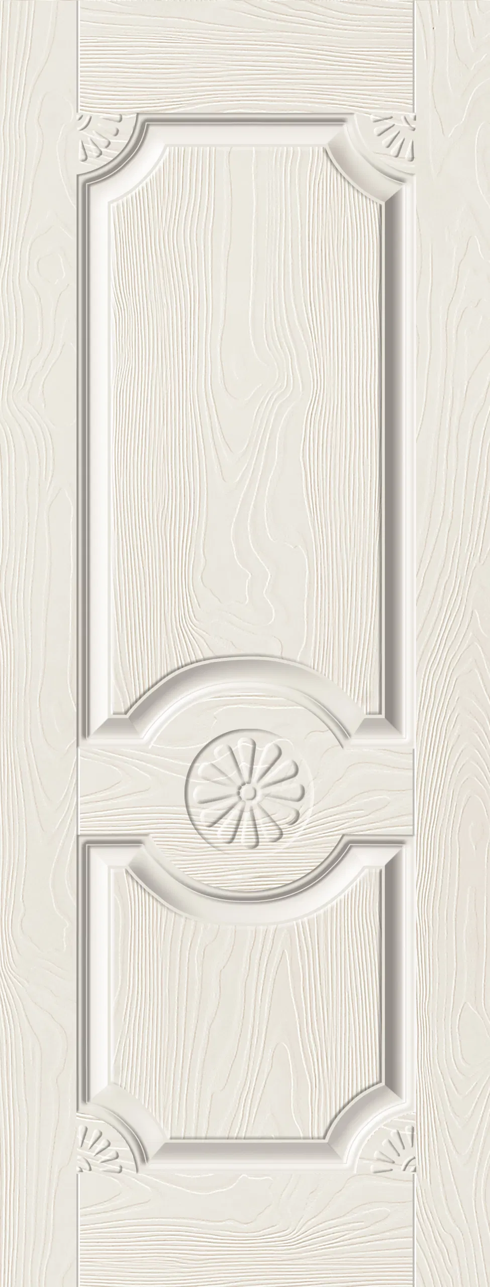 Door Skin Panel