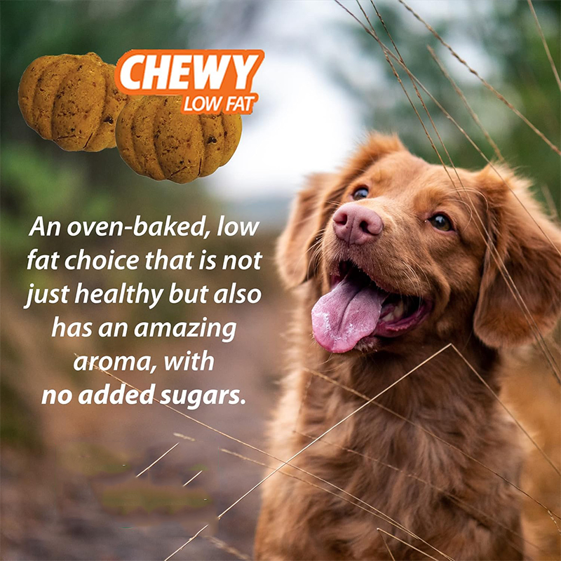 Sweet Potato Flavor Natural Dog Treats with Pumpkin for Digestive Health 6oz (170g)