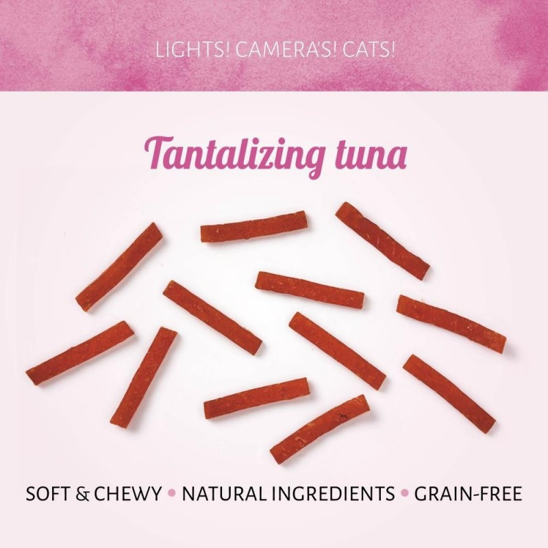 All Natural Tempting Tuna Flavor 1.8oz (50g) Soft Cat Treats