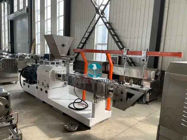 DP100 Twin Screw Extruder