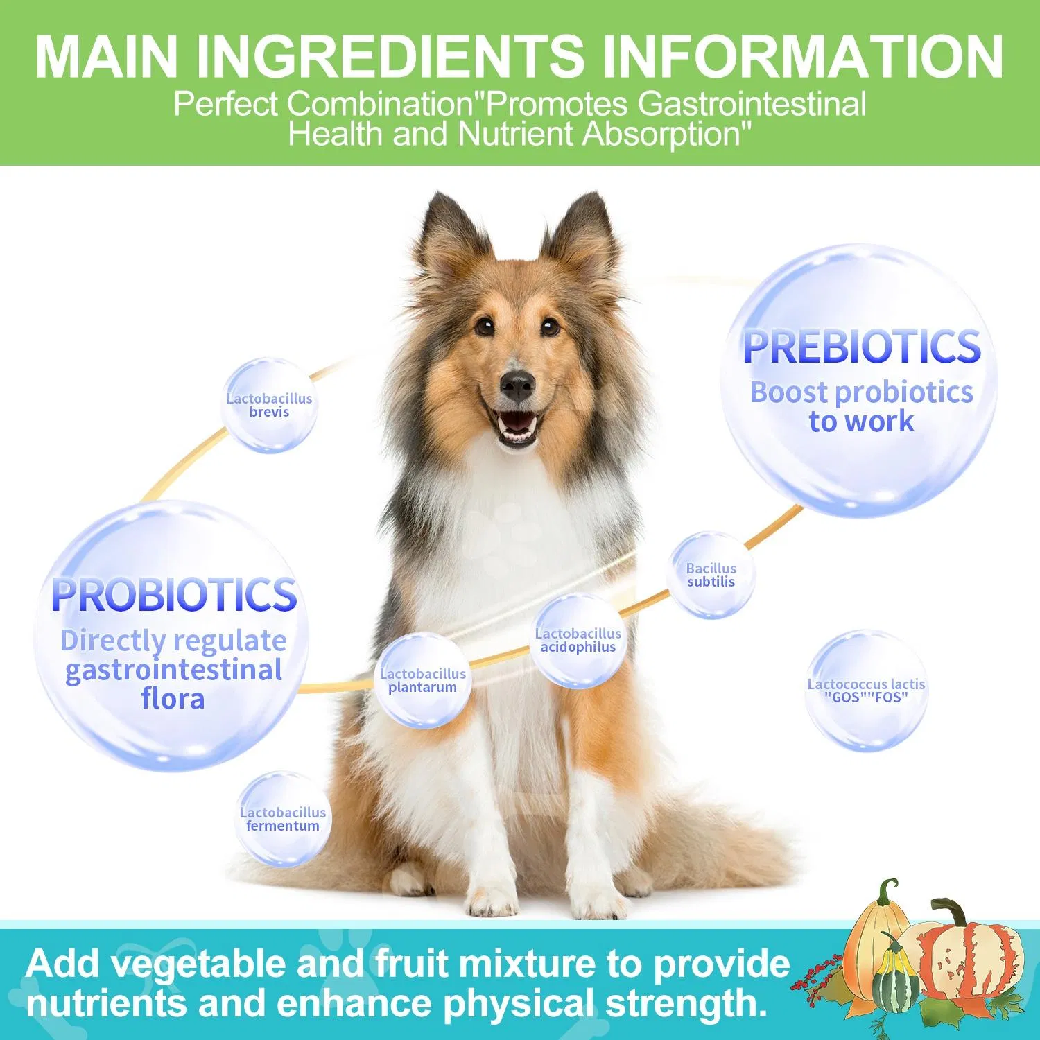 Bulk Purchase Pet Probiotic &amp; Prebiotic Soft Chews, Functional Gut Health Supplement for Dog Cat