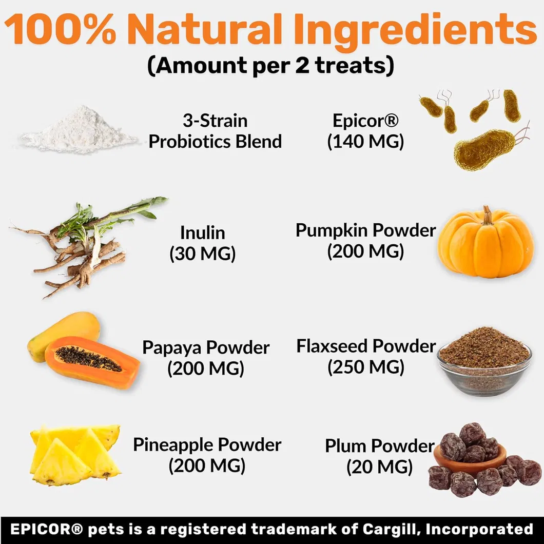 Digestive Support for Dogs