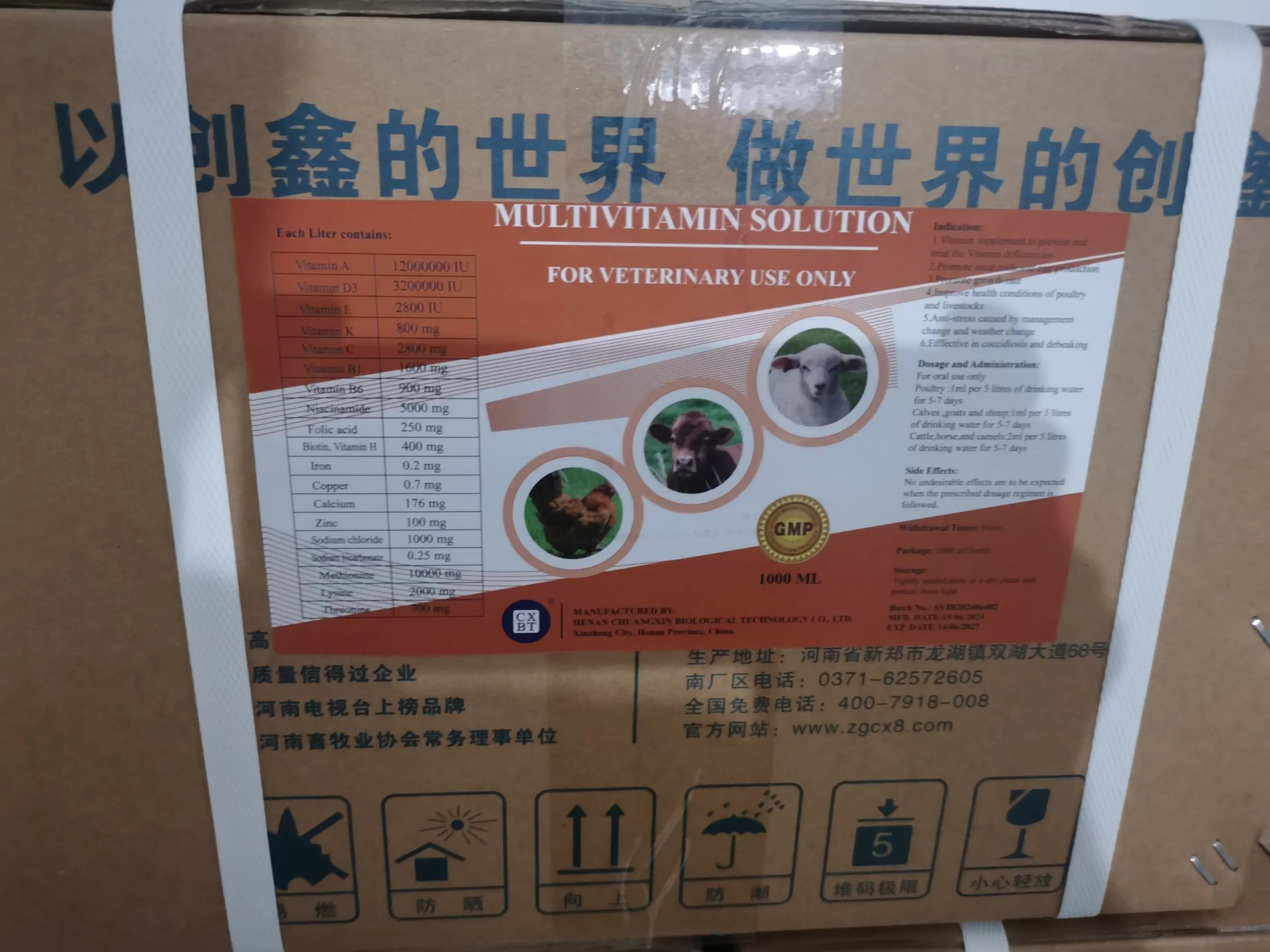 Essential Puppy Vitamins for Optimal Growth and Vitality